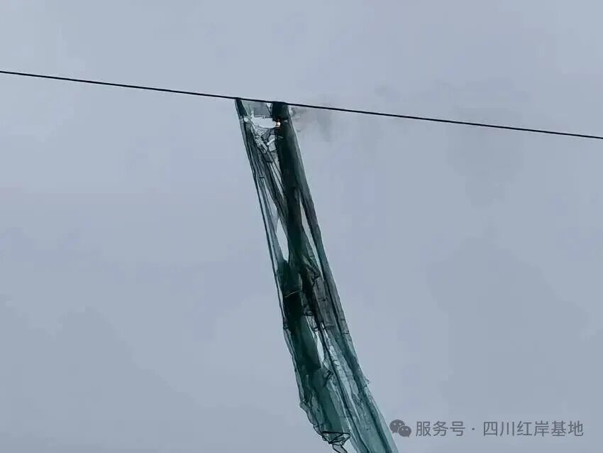 image_1784790996_EGzQkYgs.jpg